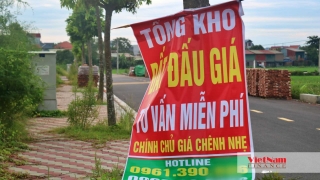 Đấu giá đất vùng ven Hà Nội: 'Show diễn bài ca tăng giá xuyên đêm'