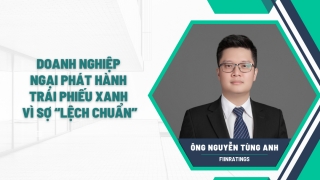 Doanh nghiệp ngại phát hành trái phiếu xanh vì sợ 'lệch chuẩn'