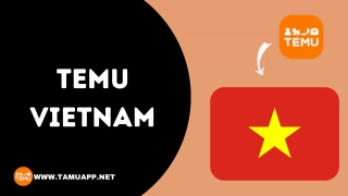 Temu: Sàn TMĐT Trung Quốc 'gây sốt' tại Việt Nam