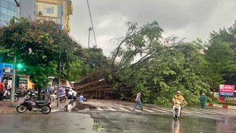 Hà Nội: Cây đổ la liệt, gió giật tung mái công ty giày Thượng Đình vì bão Yagi