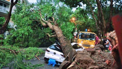 Ô tô bị đè nát trong bão YAGI được bảo hiểm bồi thường thế nào?