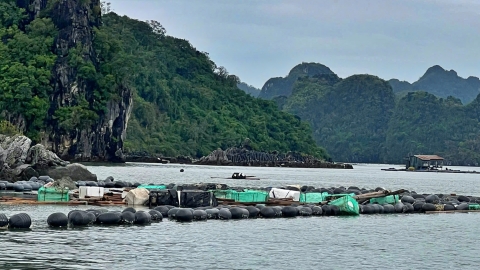 Tài sản tan ra biển, sổ đỏ cắm ngân hàng, chỉ còn gánh nợ nghìn tỷ