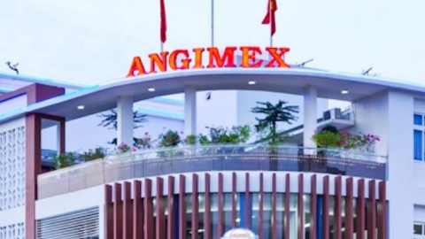 Angimex dự kiến phát hành cổ phiếu thưởng để bù lỗ, lên kế hoạch năm 2024 lãi 27 tỷ