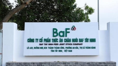 BAF lần đầu tiên báo lỗ quý kể từ khi niêm yết