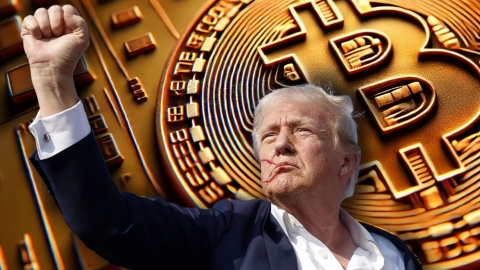 Vụ ám sát ông Trump khiến giá Bitcoin tăng vọt